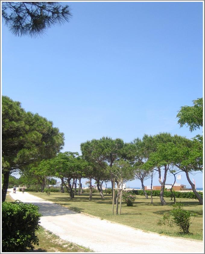 Locations Meublees Plage Des Pins Argelès-sur-Mer Exterior foto